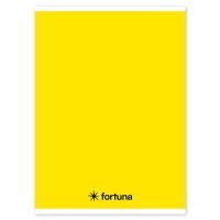 FORTUNA Basic és Monocolor spirálfüzetek 20% kedvezménnyel!