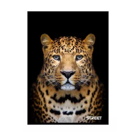 Füzet vonalas STREET A/5 54 lapos Safari margóval