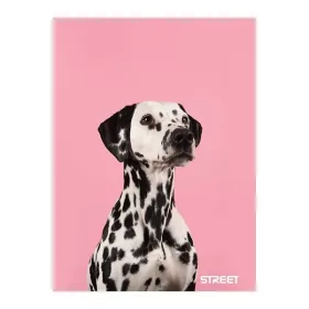 Füzet sima STREET A/4 54 lapos Friends