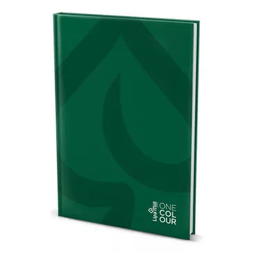   Beírókönyv kockás LIPAMILL A/4 288 lapos Office keményfedeles