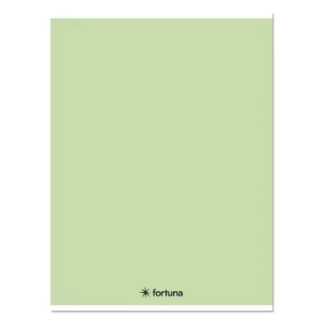   Füzet kockás FORTUNA Monocolor A/5 32 lapos 27-32 pasztell zöld
