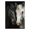 Füzet kockás STREET A/4 54 lapos Horses