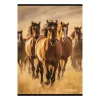 Füzet vonalas STREET A/4 54 lapos Horses margóval
