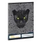 Leckefüzet ARS UNA A/5 32 lapos Black Panthers