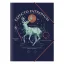 LICENSE Gumis mappa HARRY POTTER A/4 vegyes mintás