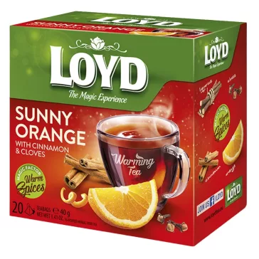 Gyümölcstea LOYD Piramis Hot narancs-fahéj 20x2 g