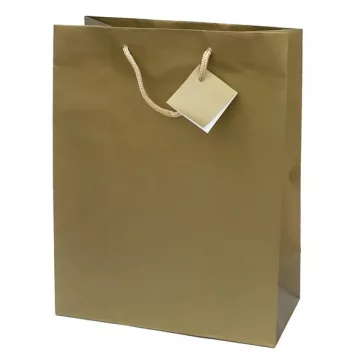   Dísztasak CREATIVE Special Simple M 18x23x10 cm egyszínű arany zsinórfüles