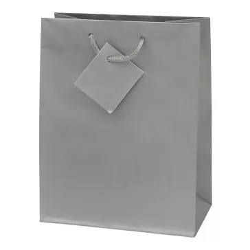   Dísztasak CREATIVE Special Simple M 18x23x10 cm egyszínű ezüst zsinórfüles