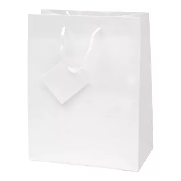   Dísztasak CREATIVE Special Simple M 18cm x 23cm x 10 cm egyszínű fehér zsinórfüles