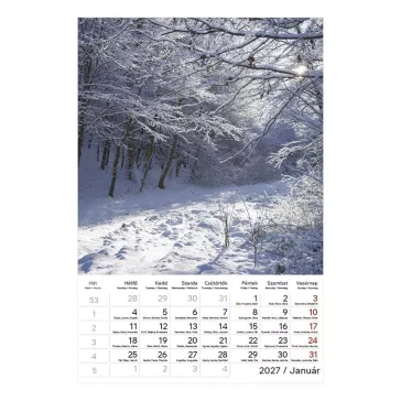 Falinaptár TOPTIMER T094 220x330mm álló Hangulatok 2027