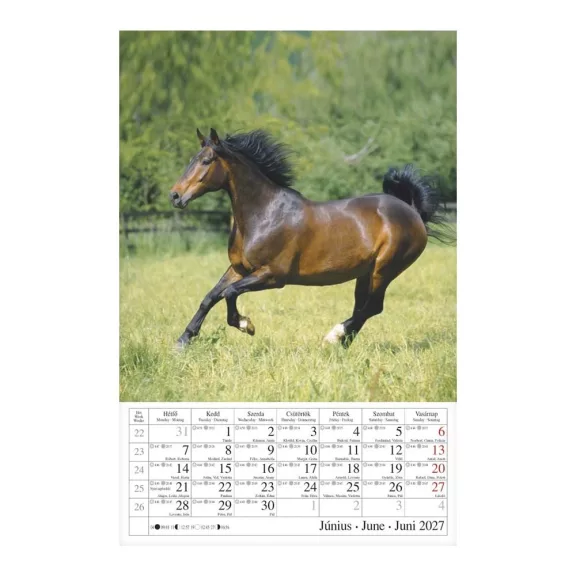 Falinaptár CSG 210x320mm álló Lovak 2027 Falinaptár CSG 210x320mm álló Lovak 2027