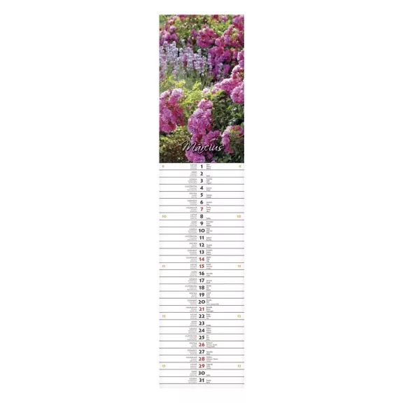 Falinaptár CSG 110x480mm álló Szép napot! jegyzetnaptár 2027 Falinaptár CSG 110x480mm álló Szép napot! jegyzetnaptár 2027