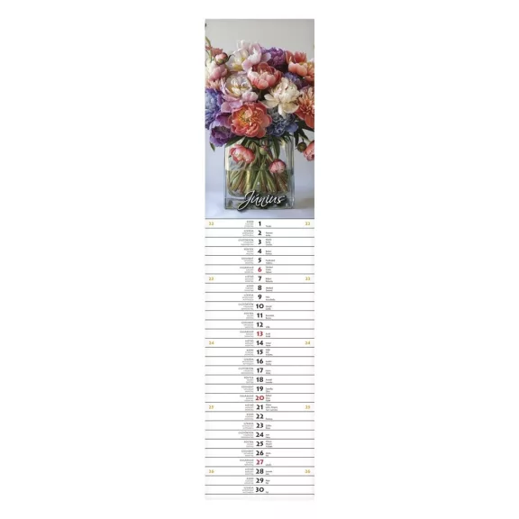 Falinaptár CSG 110x480mm álló Szép napot! jegyzetnaptár 2027 Falinaptár CSG 110x480mm álló Szép napot! jegyzetnaptár 2027