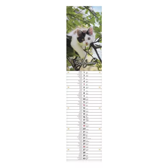 Falinaptár CSG 110x480mm álló Szép napot! jegyzetnaptár 2027 Falinaptár CSG 110x480mm álló Szép napot! jegyzetnaptár 2027
