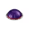 Kávékapszula NESPRESSO Vertuo Espresso Altissio Decaffeinato koffeinmentes 10 darabos