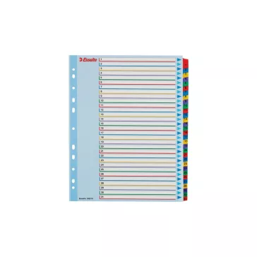   Elválasztólap, A4, Maxi regiszteres 1-31 laminált karton előlap 100210 Esselte