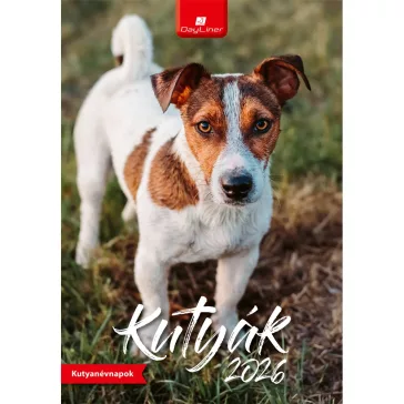   Falinaptár képes 230 x 330 mm, fehér lapokkal Kutyák Dayliner 2027.