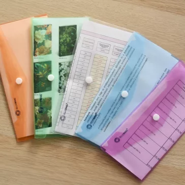   Irattartó tasak DL 'csekk' patentos PP Bluering® transzparens kék