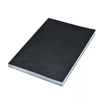   Beírókönyv A4, 200lap fekete PVC borító, Bluering® kockás